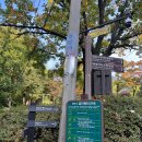 불암산악회 | [불암산등산] 불암산 초보등산코스, 최단코스 상계역 출발 제5등산로 후기