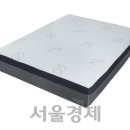 드림텍스 이미지