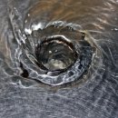 스타티오 이미지