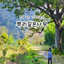 뿌리깊은나무 | 충북 옥천 가볼만한곳 대전 근교 대청호 카페 나들이 뿌리깊은나무
