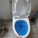 하이파크 아파트 | 일산 하이파크시티 아파트 변기 막힘 해결 후기