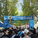 제 4회 이순신 백의종군길 마라톤 10km 후기 1시간 완주