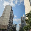 용산-현장-1999 이미지