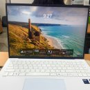 LG전자 직원이 추천하는 LG 그램 노트북 16인치 16Z90T-G