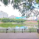 용인동백호수공원 이미지