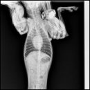 동주동물병원 이미지