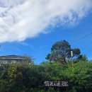 쌍둥이주유소 | [임신 18주] 3박4일 오키나와 쌍둥이 태교여행 Day3~마지막 날