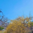 당산마을 화장실 이미지