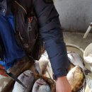 대림민박 이미지