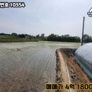 공인중개사 구희서사무소 이미지