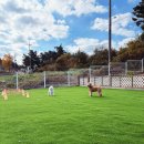 더블루네스 | 아이와 애견 동반 태안 안면도 풀빌라 수영장 펜션 더블루네스