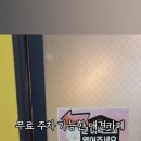 지금여기서행복하개 이미지