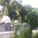 솔샘세차장 이미지