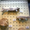 영덕어촌민속전시관 이미지