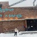 눈커피 이미지