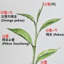 서구-01-127 이미지