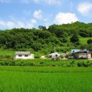 오봉리 - 우 이미지