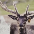 홍재한의원 이미지