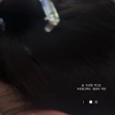 불여시룸클럽