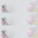 아티파티스튜디오