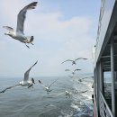 바다솔향기펜션 이미지