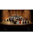 2025라이징스타 데뷔콘서트 with 부산솔로이스츠 | [25.03.30] 2025 라이징스타 데뷔콘서트 with 부산솔로이스츠 활동보고