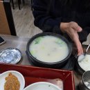 양덕동286 | [창원] 마산 양덕동 NC파크,고속터미널 맛집 " 24시남양돼지국밥"