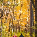 소원을말해봐 이미지