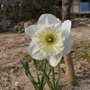 새로이펜션민박 이미지