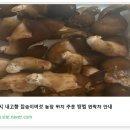 다울농장 이미지