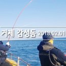 거제진선장 이미지