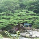 위천수승대 이미지