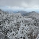 본죽 광주광역시증심사입구역점 | 등산일기 #13ㅣ241208 광주 무등산 증심사-중머리재-장불재-서석대 코스ㅣ등린이, 자차, 뚜벅이 추천