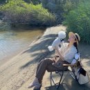 댕댕이 컷 이미지