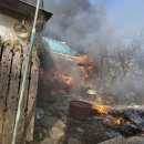 덕진-115 이미지