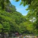 운문민박 | 대구근교계곡 청도 신원계곡 평상 대여 아이랑 물놀이