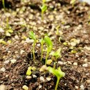 안산이농장 이미지