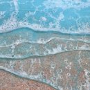 해피트리 고사포점 이미지