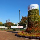 국화축제장 입구 이미지