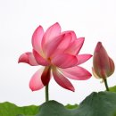 건강마을 협동조합 이미지