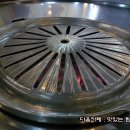 장수갈매기 이미지