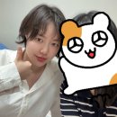여자 단발 숏컷 , 청담동미용실 커티즘바이 경서 실장님