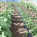 발전농장 이미지