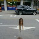 홍은카센타 이미지