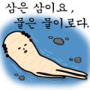유아시스 네이버블로그