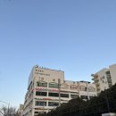진주상가 화장실 | 여의도 샛강역 맛집 흑백요리사2 식당 광어 숙성회 맛집 <진주섬> 내돈내산 방문 후기