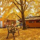 정촌유기농원 이미지