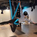 라이프 휘트니스 | 안양역요가 🧘🏻‍♀️라이프피트니스 요가 후기