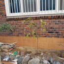 온천천남로 이미지