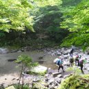 자연으로Ⅱ 이미지